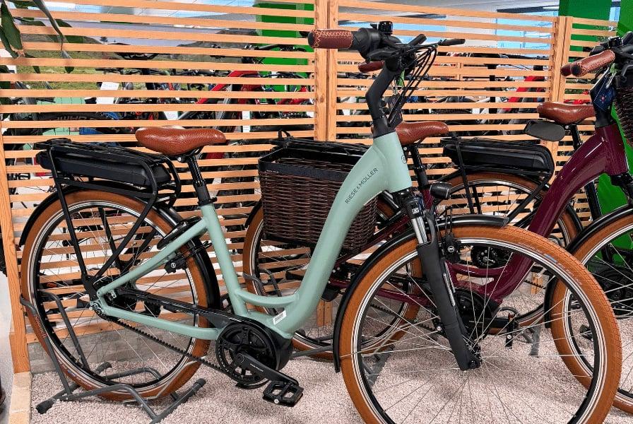 E-Bike Flyer Gotour mit braunen Akzenten vor Holzwand