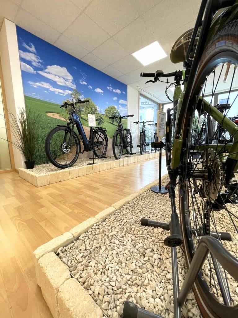 Ausstellung von E-Bikes in modernem Showroom mit Naturkulisse