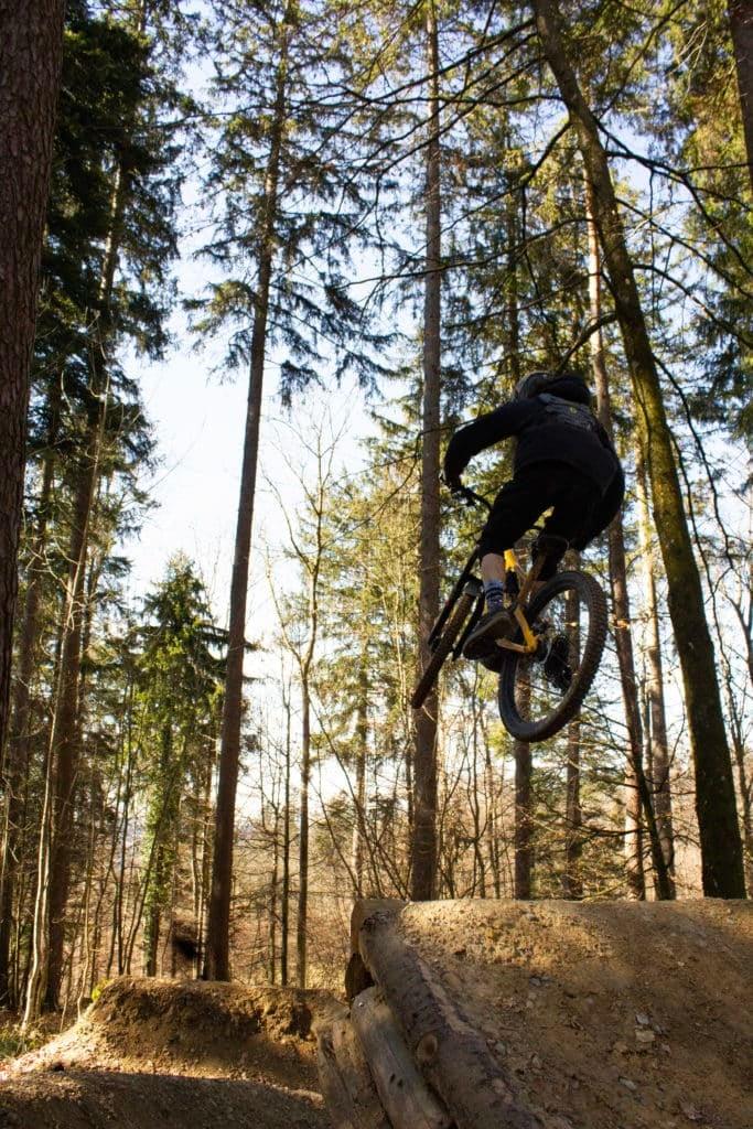 Mountainbiker springt über Rampe im Wald