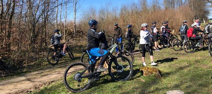 Gruppe von Radfahrern im Wald auf E-Bikes bei sonnigem Wetter