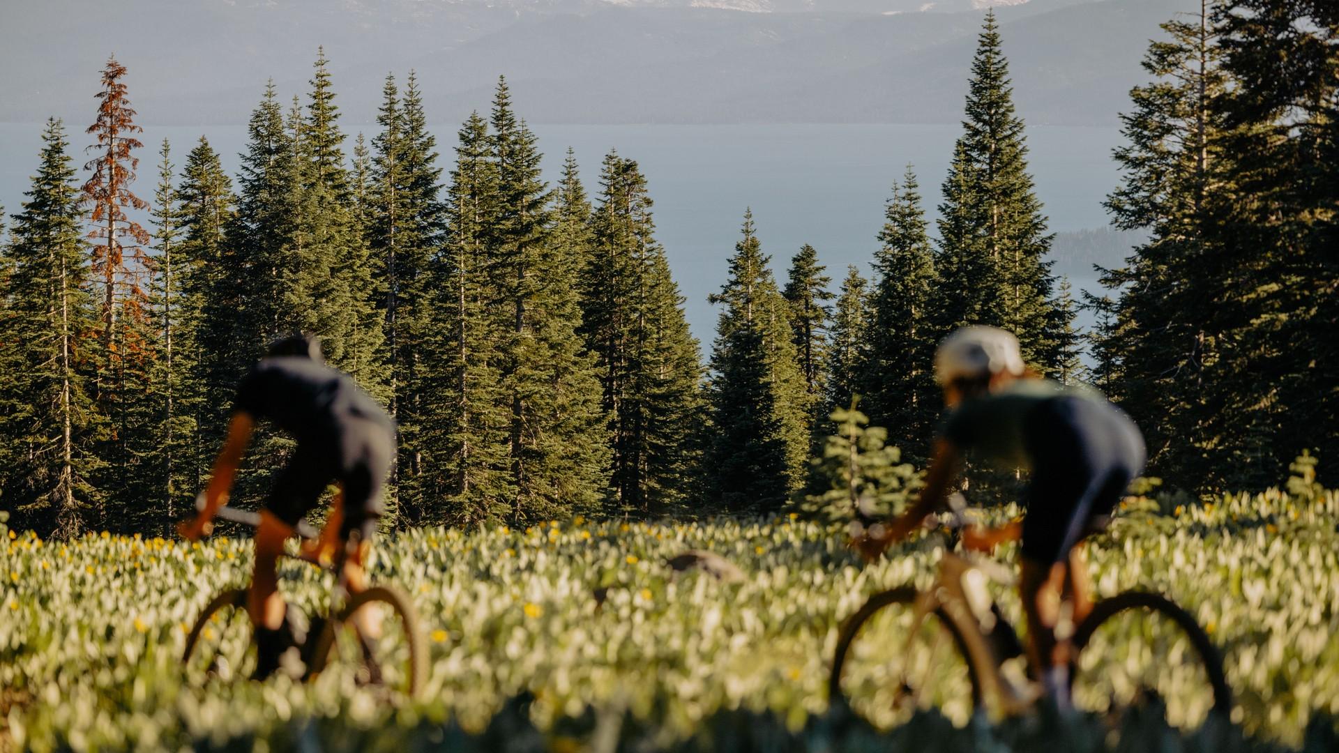 Specialized Creo E-Bike im Gelände