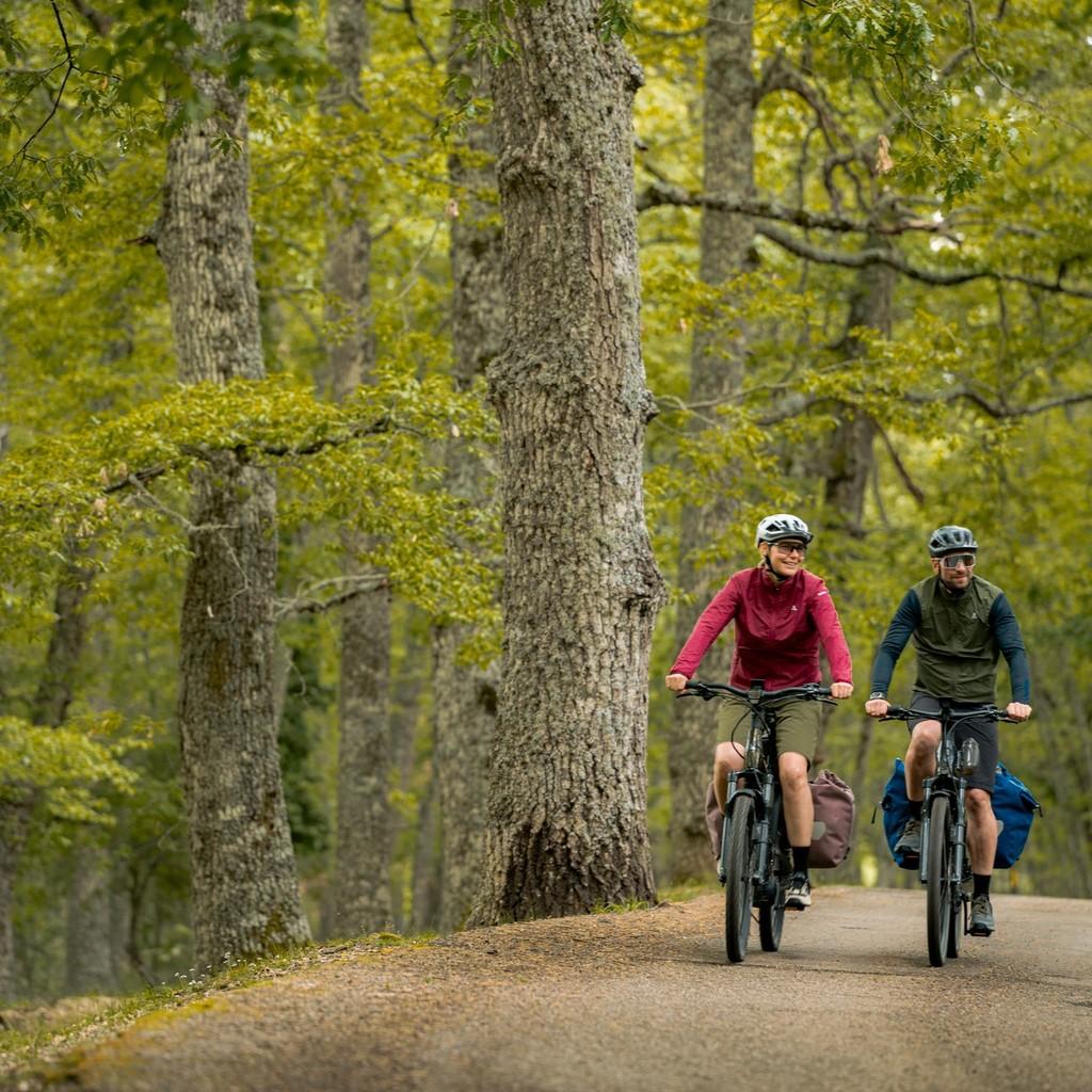 Erlebe mit Bosch eBikes und fortschrittlichem ABS sicheres Radfahren in der Natur. Perfekt für alle Outdoor-Liebhab