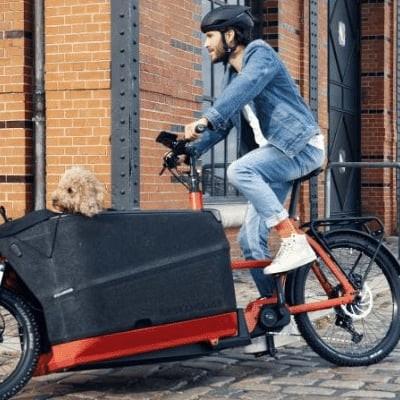 Mann auf rotem E-Lastenrad mit Hund in urbaner Umgebung