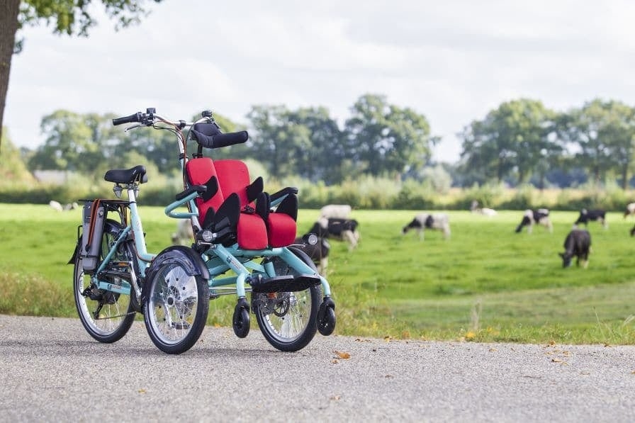 Dreirad-Tandem mit Kindersitz vor grüner Weidelandschaft