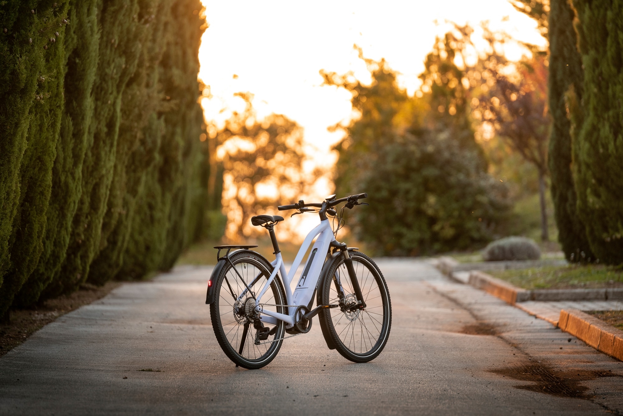 Hochwertiges E-Bike in malerischer Sonnenuntergangskulisse. Perfekt für stilvolle und effiziente Mobilität im Allta