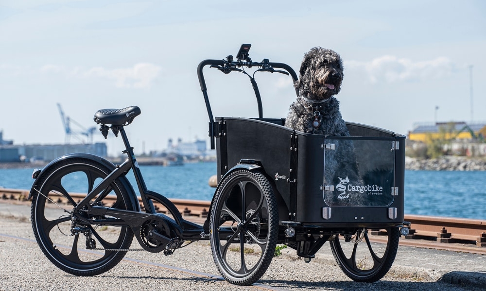 Ein Hund schaut aus einem Lastenrad von Cargobike of Sweden am Hafen. Perfekt fĂĽr den Transport von Haustieren.