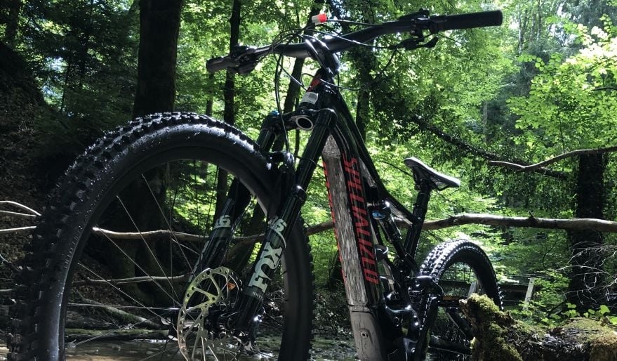 Specialized Levo E-Bike im Wald auf einem Bach