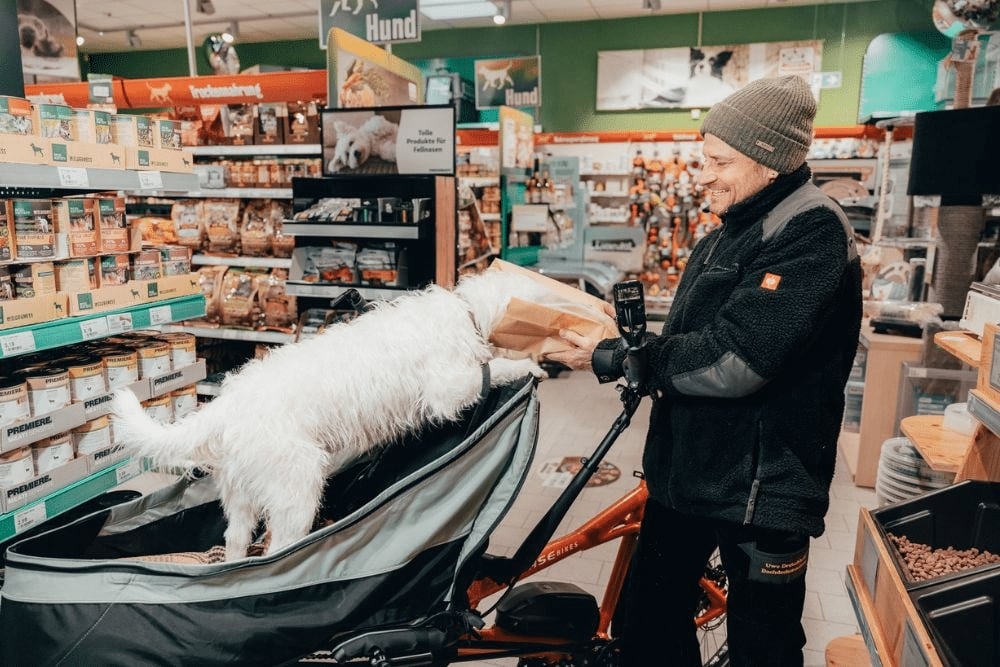 Hund im Fahrradanhänger in einem Tierbedarfsladen