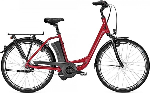 Raleigh DOVER IMPULSE 7 Rücktritt 2017 City e-Bike