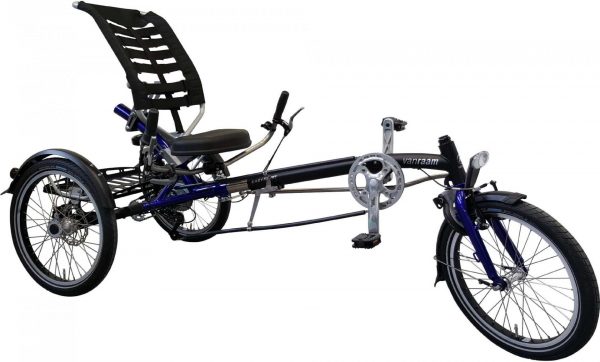 Van Raam Easy Sport 2018 Dreirad für Erwachsene