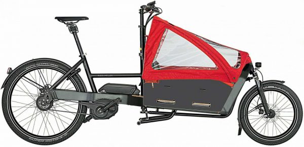 Riese & Müller Packster 60 nuvinci Nyon 2018 Lasten e-Bike