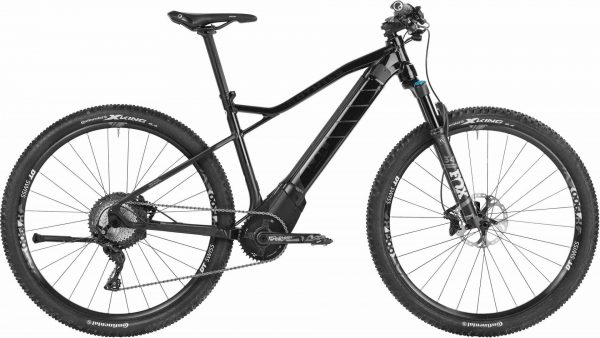 ROTWILD R.T+ Core 2019 Trekking e-Bike