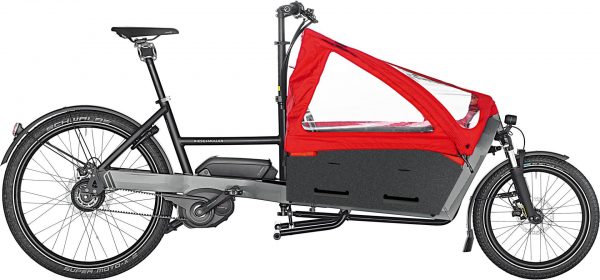Riese & Müller Packster 60 vario 2020 Lasten e-Bike