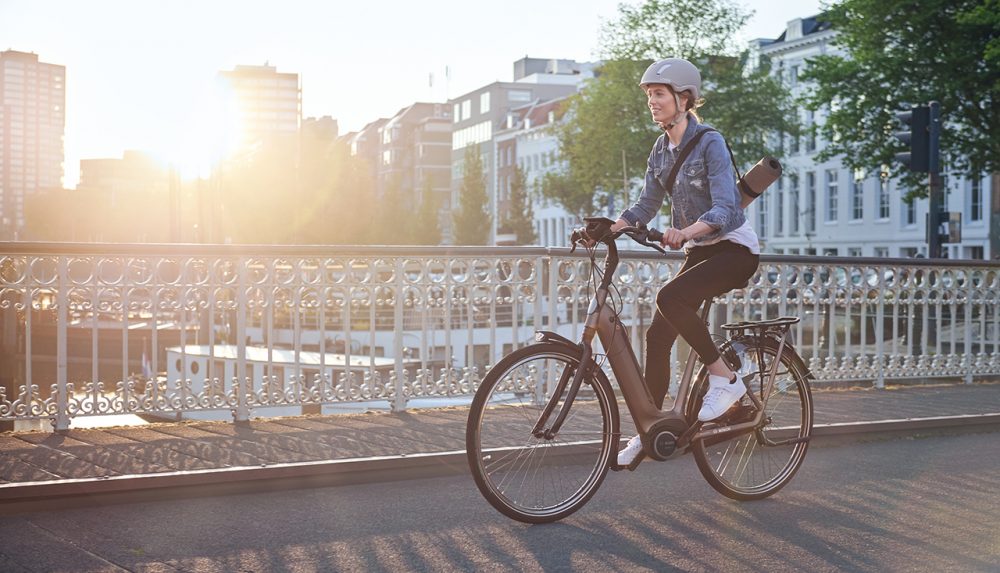Gazelle City e-Bike mit Bosch SmartphoneHub