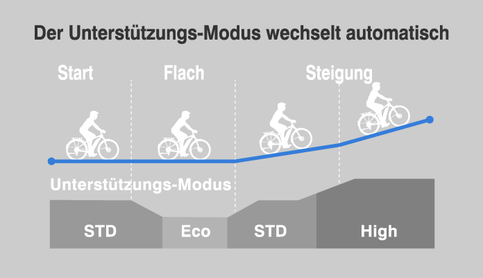 Yamaha PWseries ST Elektrovelo Antrieb
