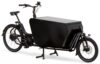 eT20 06082 01 de Urban Arrow Cargo L Flatbed 2020