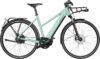 eT21 05231 02 de Riese & Müller Roadster Mixte vario HS 2021