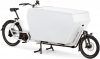 eT21 07563 02 de Urban Arrow Cargo Flatbed XL Cargo Line Rohloff 2021