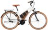 eT23 001533 01 at Riese & Müller Cruiser2 Mixte silent 2023