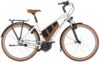 eT24 001140 02 at Riese & Müller Cruiser Mixte silent 2024