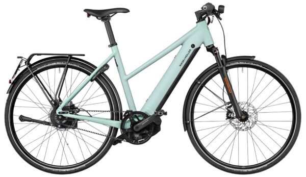 Riese & Müller Roadster4 Mixte vario HS 2024 S-Pedelec