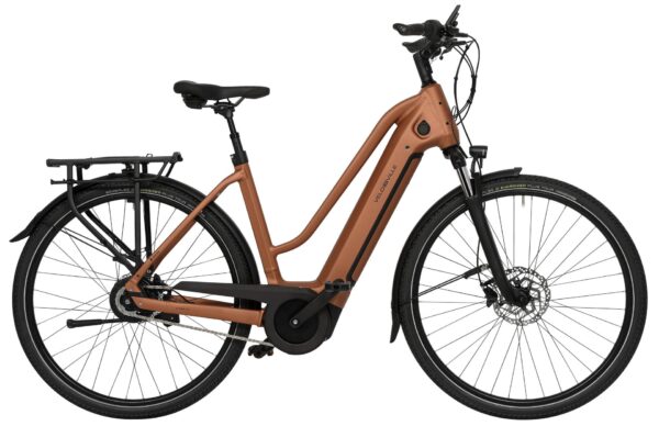 Velo de Ville AEB 990 CUES 10 2024 Trekking e-Bike