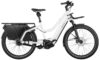eT25 001170 01 at Riese & Müller Multicharger2 Mixte GT rohloff 2025