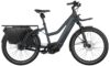 eT25 001170 03 at Riese & Müller Multicharger2 Mixte GT rohloff 2025